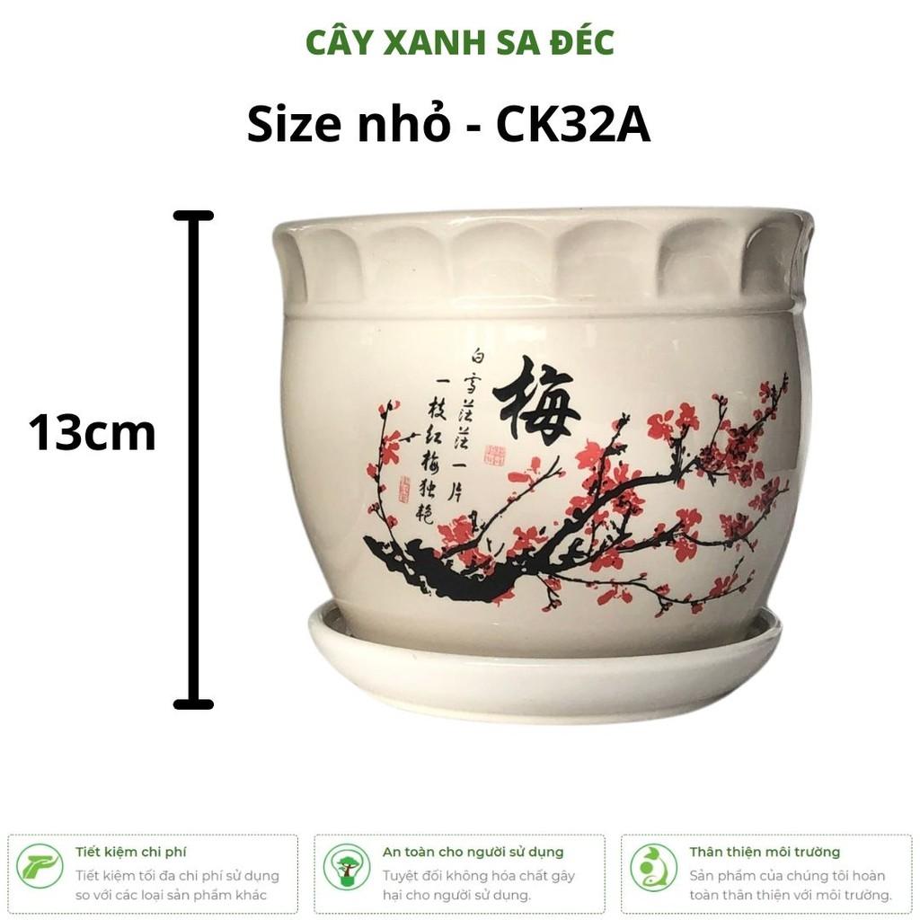 Bộ chậu men Hoa Đào Đỏ CK32 trồng cây cảnh trang trí nhà cửa, ban công, văn phòng, phòng ngủ, góc học tập