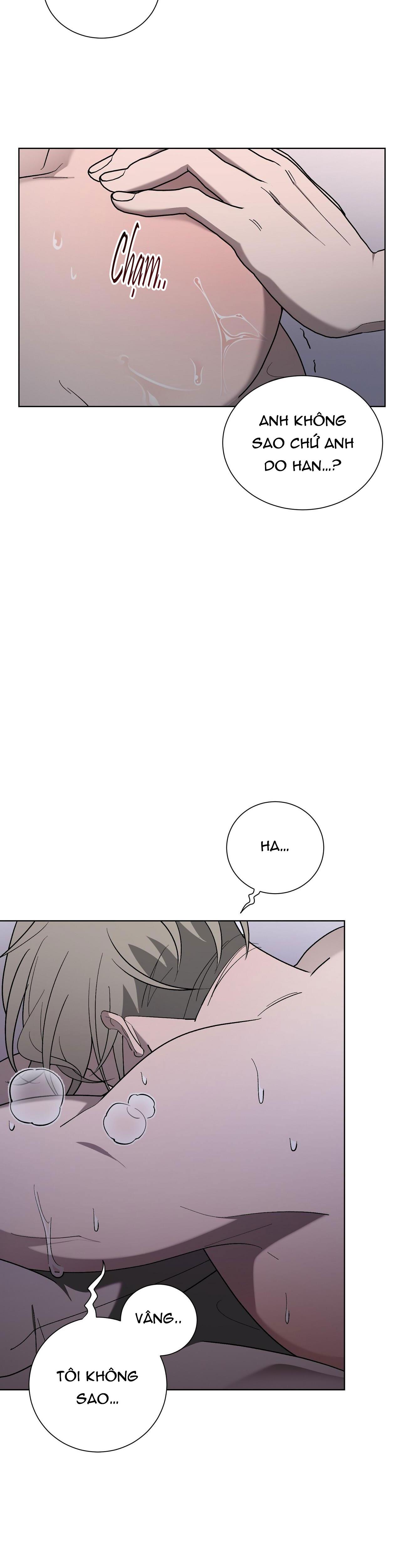 khi chim thước đến chapter 12 2