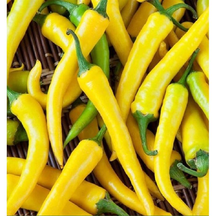 Hạt giống ớt sừng vàng châu phi CT309 - Gói 0.1gram