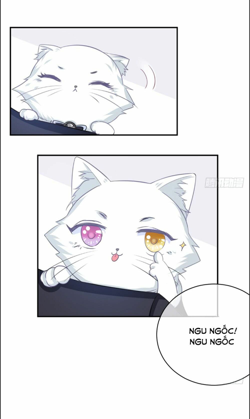 cẩm lý thiếu nữ của tôi chapter 6.1 14
