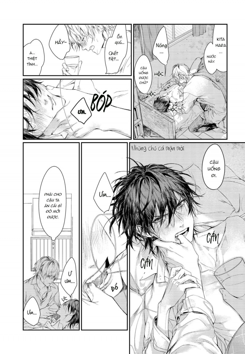 xin đừng buông tay em chapter 1 29