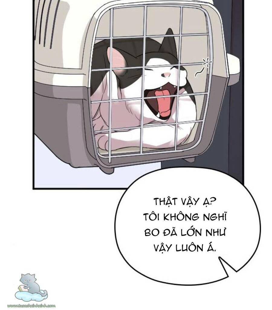 cô đi mà lấy chồng tôi đi chapter 28 103