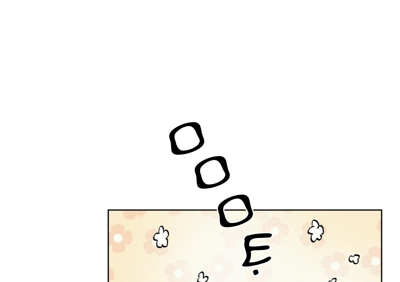 chàng dâu nhà họ kang chapter 9 86