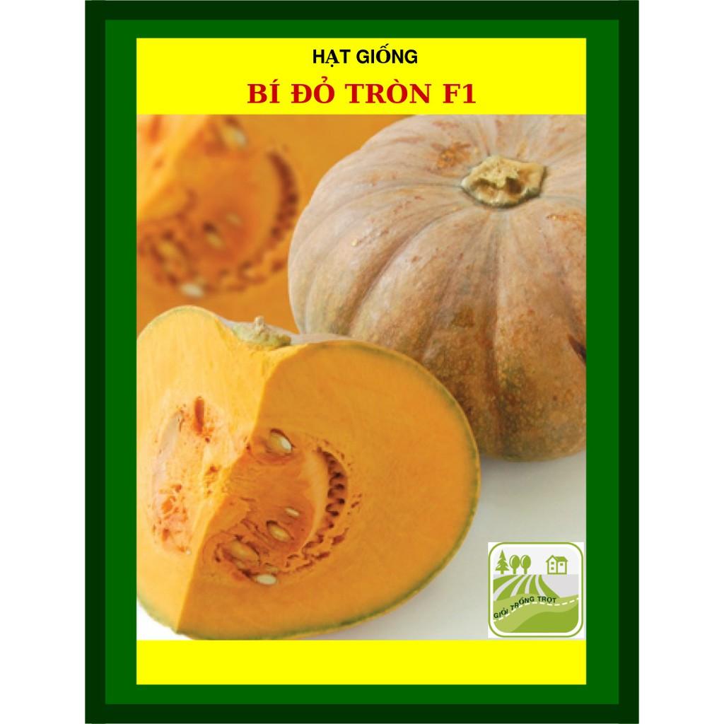 Hạt Giống Bí Đỏ Tròn F1 2gram