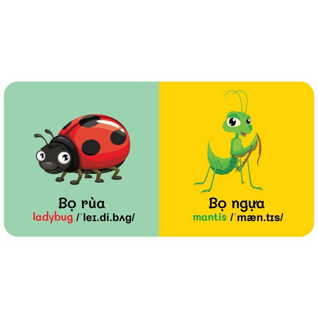 Sách - Baby'S First Picture Dictionary - Từ Điển Bằng Hình Đầu Tiên Của Bé - Côn Trùng - Insects (Bìa Cứng)