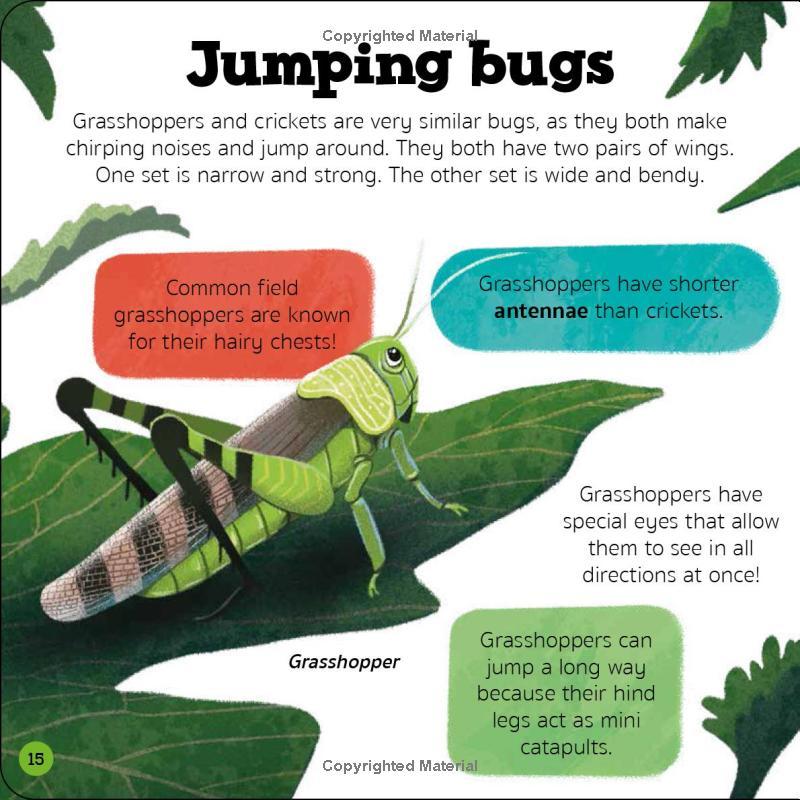 Sách ngoại văn: Priddy Explorers Bugs & Slugs