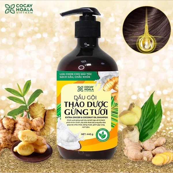 Dầu gội thảo dược gừng dừa Cocayhoala hỗ trợ trị gàu, hết ngứa, dung tích 440g-95% thành phần từ gừng tươi hữu cơ còn nguyên xơ gừng, hỗ trợ trị rụng tóc, kích thích mọc tóc vượt trội, an toàn cho mẹ bầu mẹ sau sinh