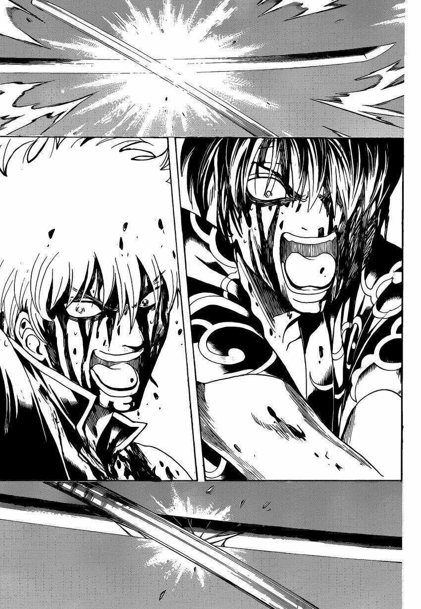 gintama - linh hồn bạc chapter 520 4