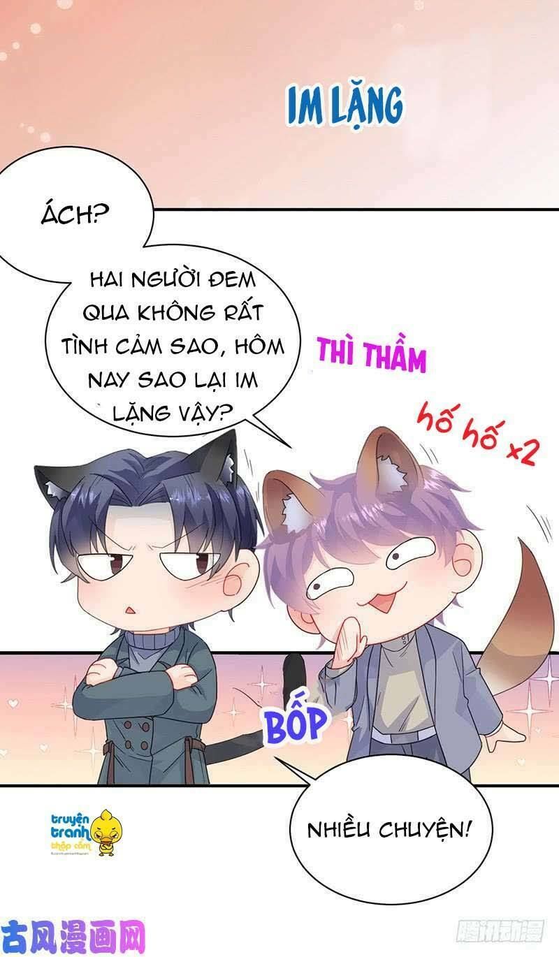 chọc tới chủ tịch tổng tài 2 chapter 102 15