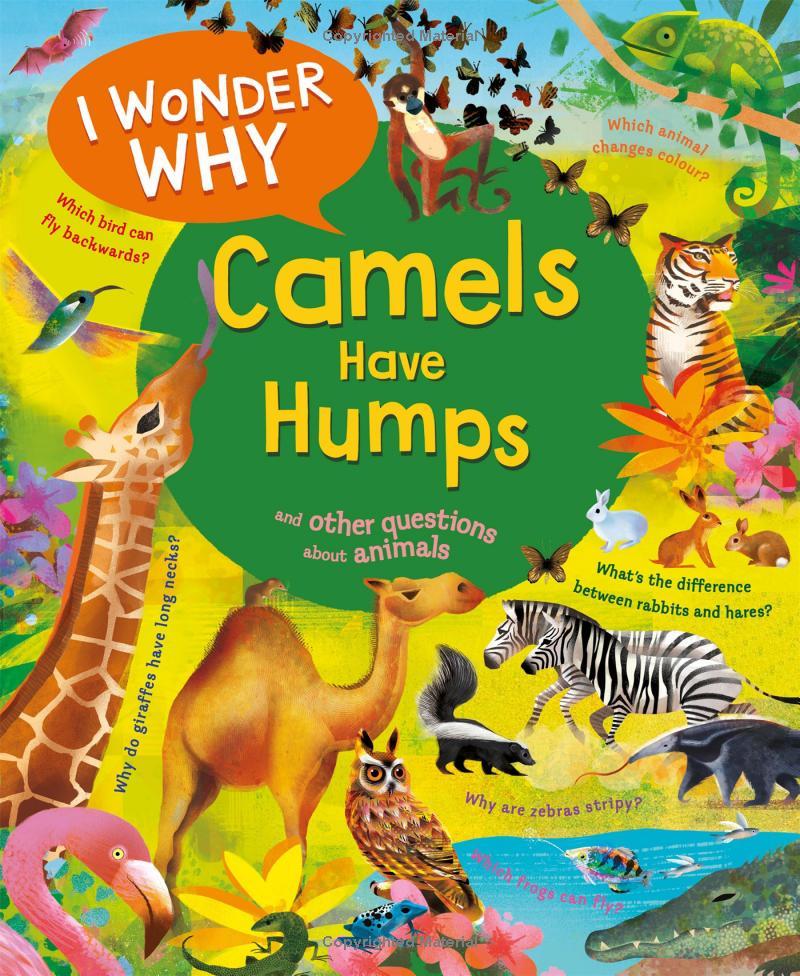 Sách ngoại văn: I Wonder Why Camels Have Humps