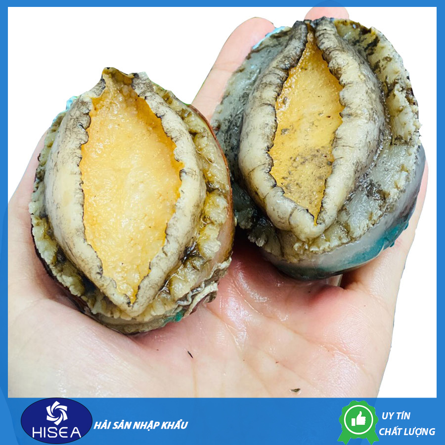 Bào ngư Chile - 1kg