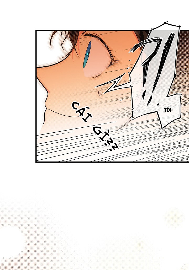 tiểu thư bí ẩn chapter 16 11