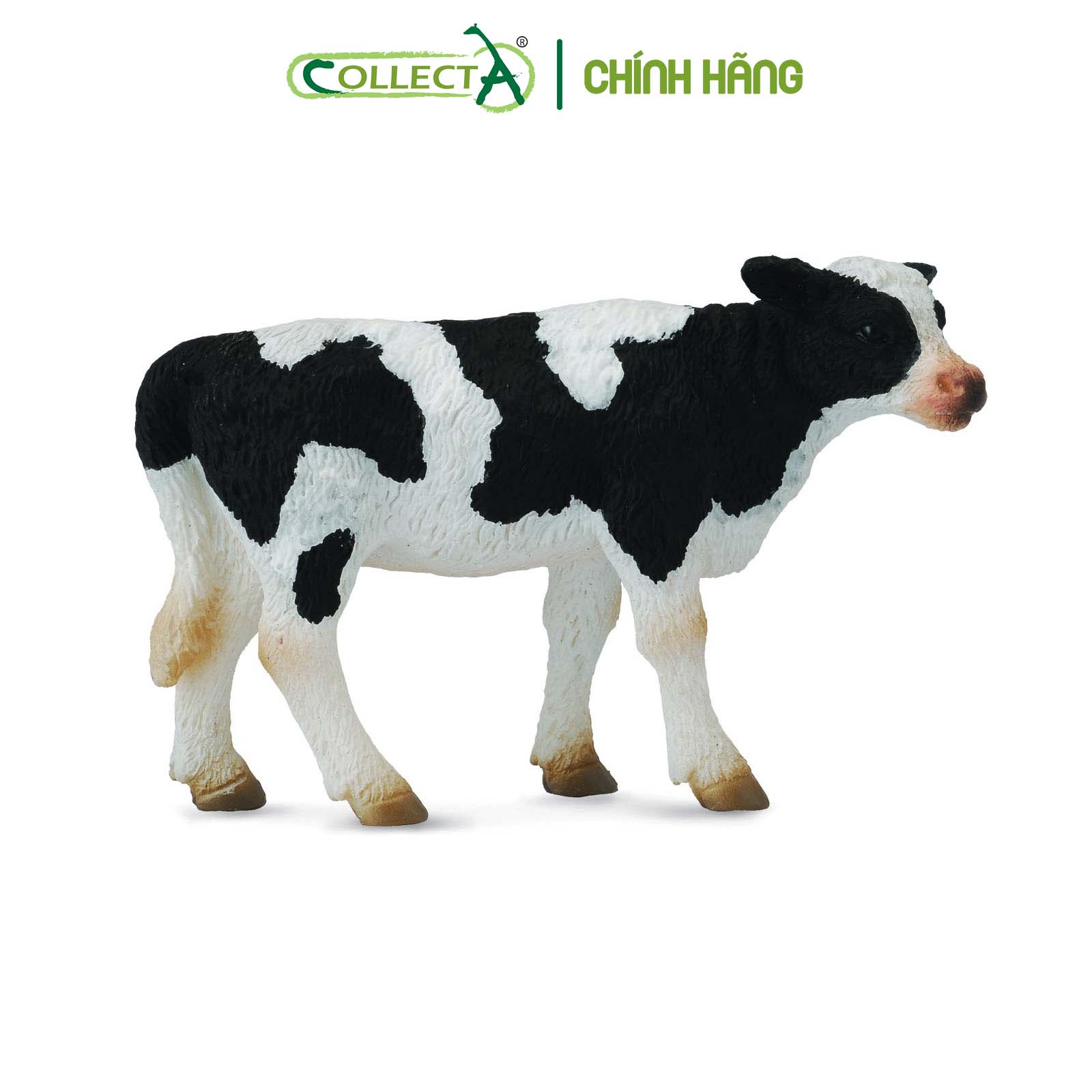 Mô hình thu nhỏ: Bò Hà Lan con - Đứng - Friesian Calf - Standing, hiệu: CollectA, mã HS 9650072[88483] -  Chất liệu an toàn cho trẻ - Hàng chính hãng