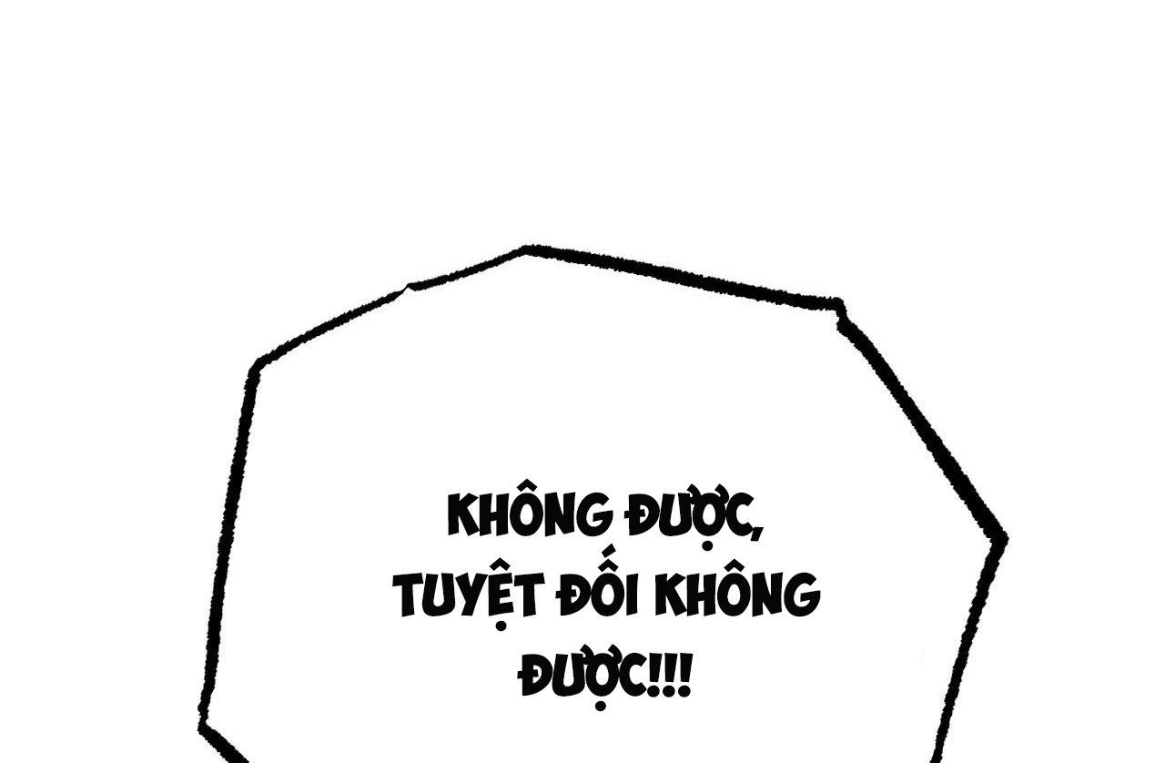 những chú thỏ của hapypy chapter 61 40