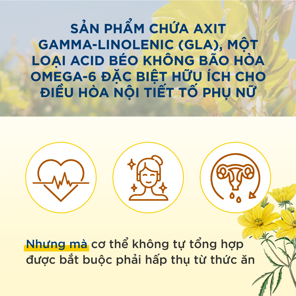 Viên Uống Bổ Sung Dầu Hoa Anh Thảo Nguyên Chất Efamol Pure Evening Primrose Oil, Giúp Cân Bằng Nội Tiết Tố, Bảo Vệ Và Làm Sáng Da