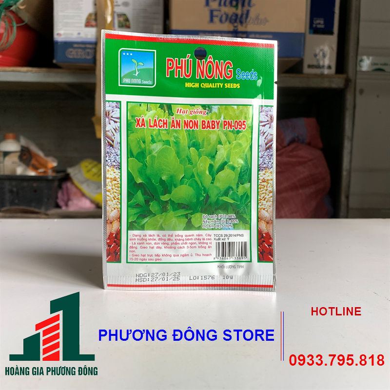 Combo 5-10 gói hạt giống rau Xà lách ăn non trồng quanh năm , kháng bệnh tốt