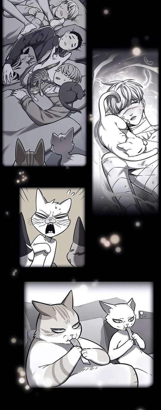 biến thân thành mèo chapter 270 66