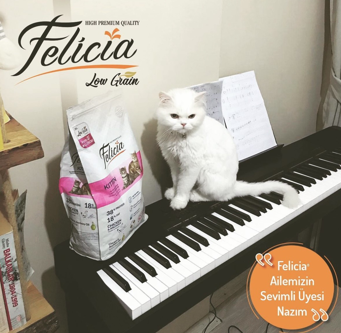 Thức ăn cho mèo mọi lứa tuổi Felicia hỗ trợ tiết niệu,đẹp lông &amp; da, hỗ trợ tiêu hoá - Xuất xứ Thổ Nhĩ Kỳ