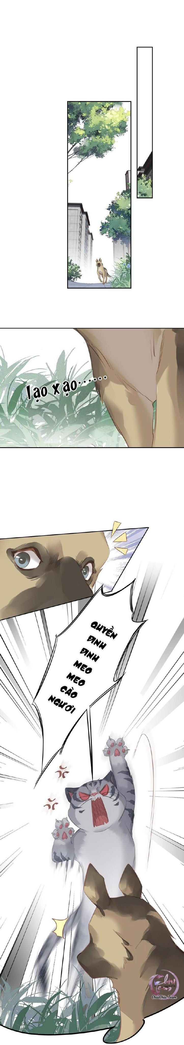 cuộc mai mối vượt giống loài chapter 46 12