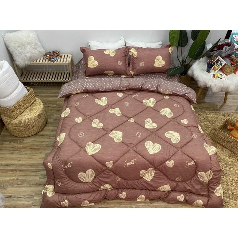 Bộ chăn ga cotton poly trần bông, nằm êm mềm mát