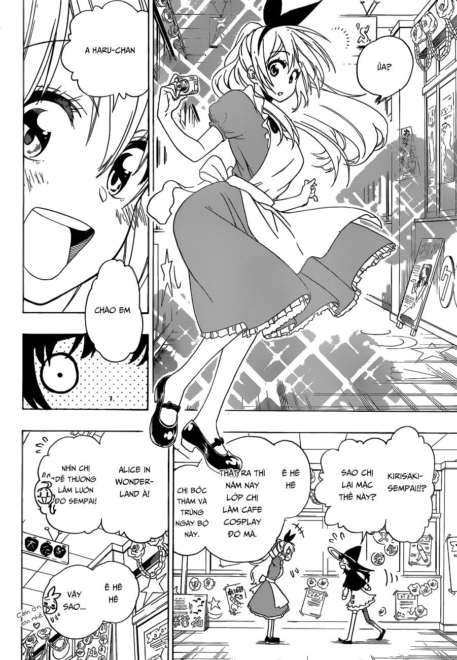 nisekoi - tình yêu giả tạo chapter 131 5