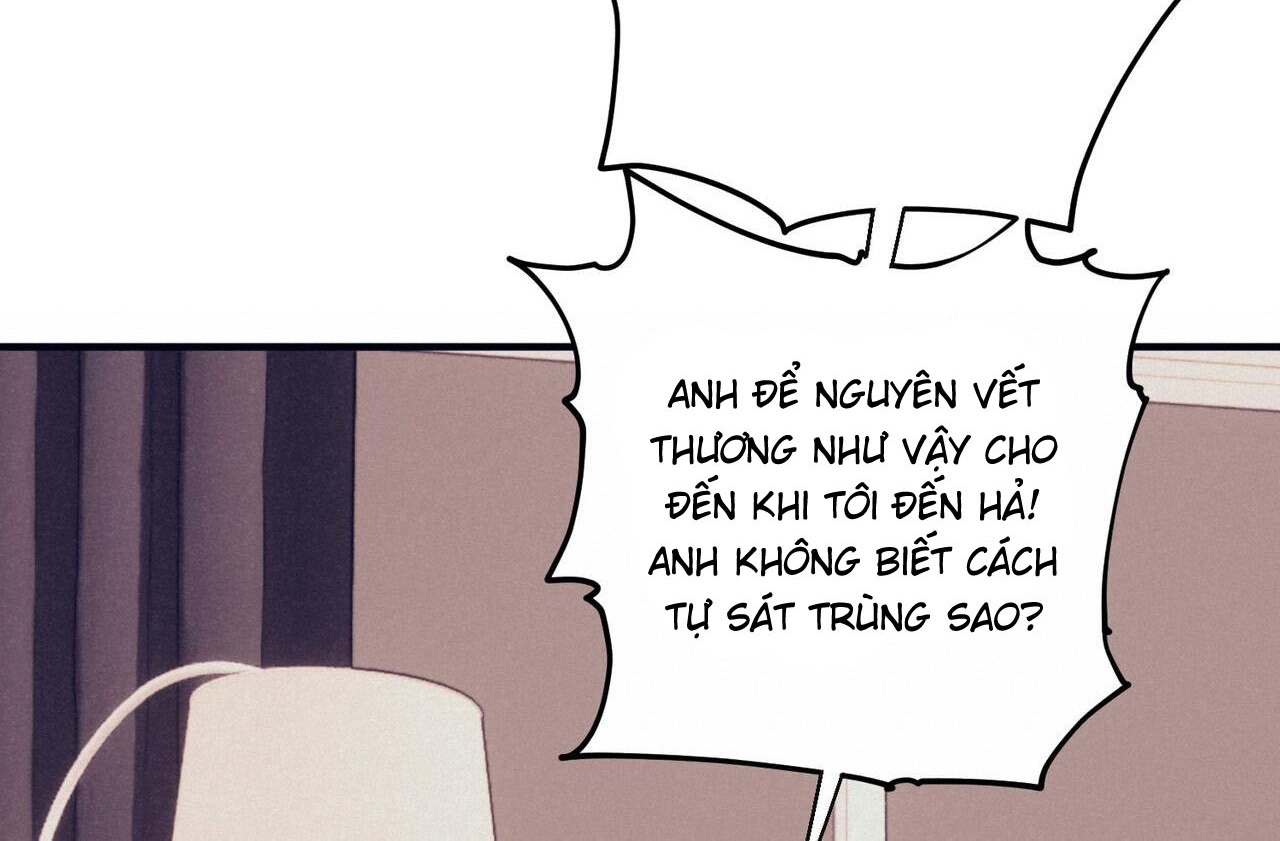 chàng dâu nhà họ kang chapter 42 25