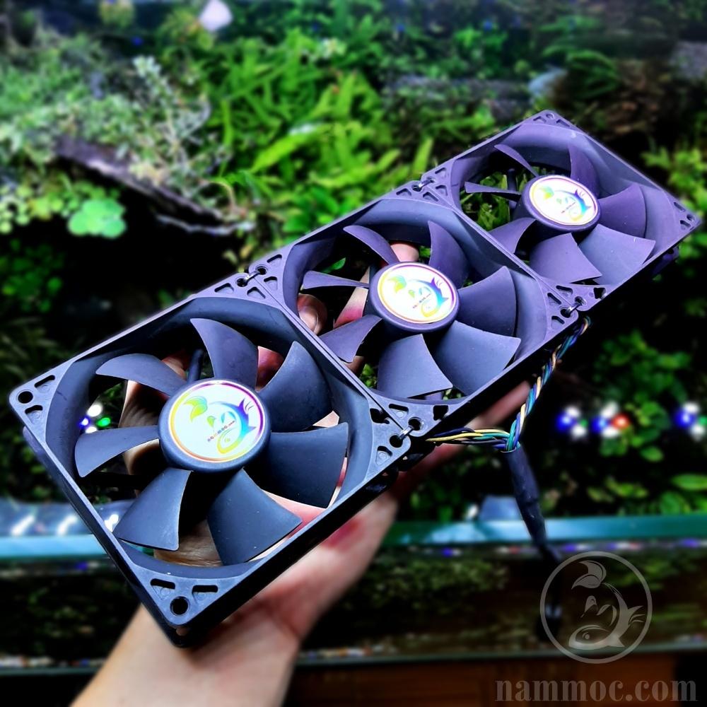 Bộ Quạt DIY Siêu Bão || Quạt Làm Mát Cho Bể Thuỷ Sinh, Cá Cảnh