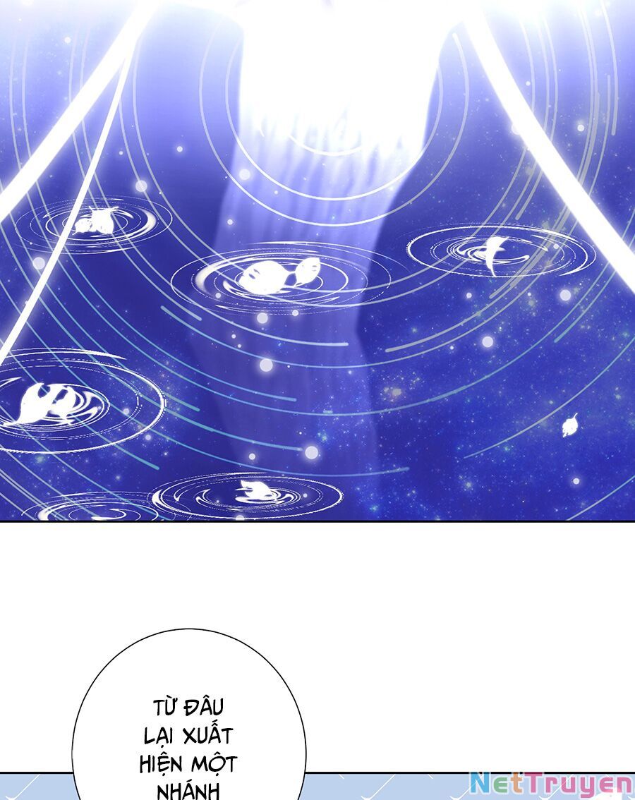 bản giáo chủ thân bất do kỷ chapter 27 17