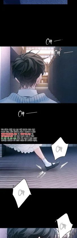 cây nấm nhỏ chapter 52 11