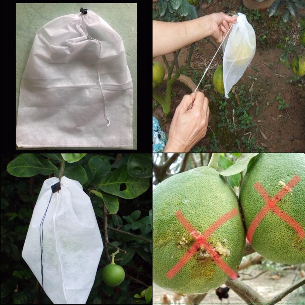 Túi Bao Trái Bưởi, Xoài, Sầu Riêng, Mãng Cầu Xiêm, Bộ 100 túi bao trái Vãi Không Dệt 30x40cm