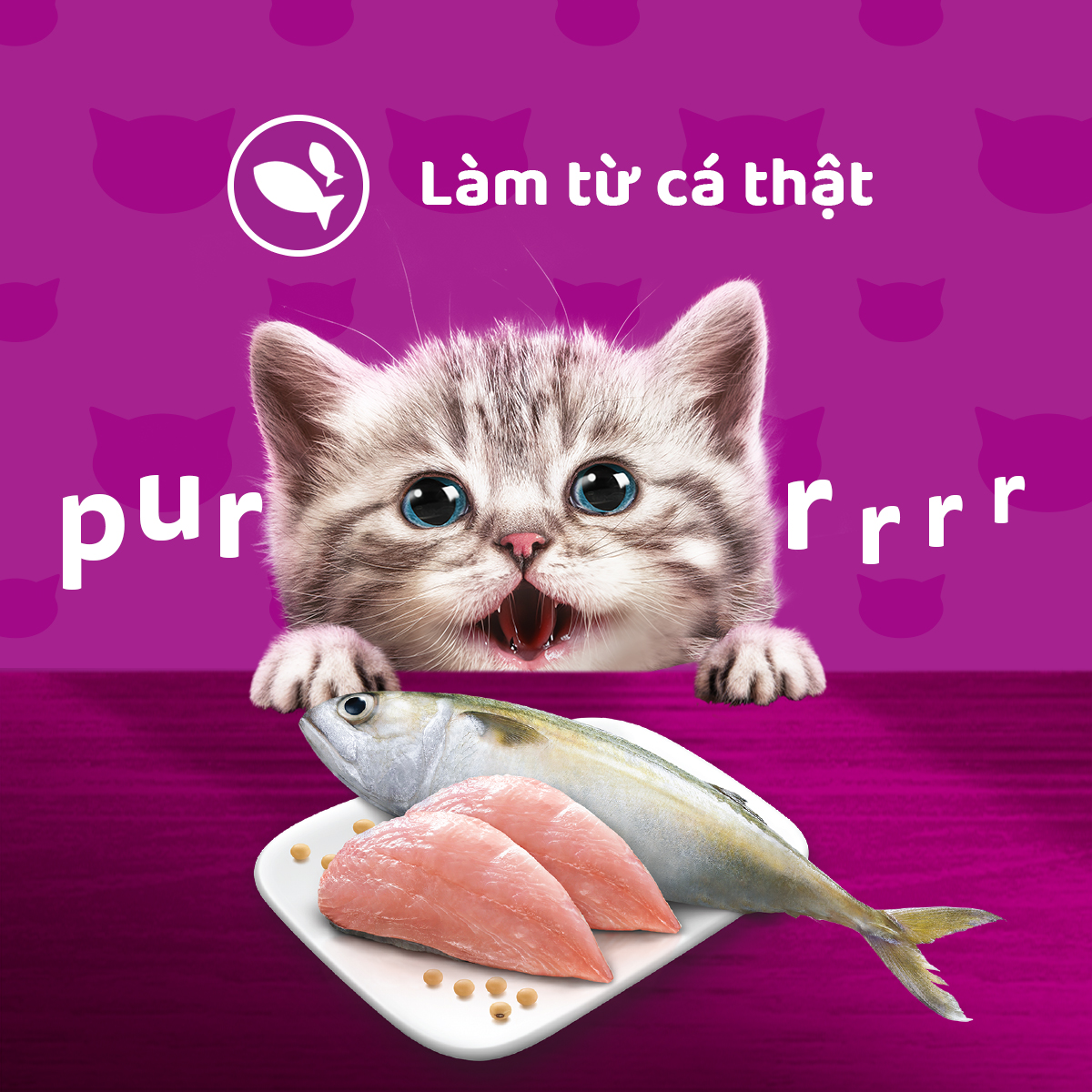 Thức ăn cho mèo con WHISKAS Junior dạng sốt – túi 80g, 24 gói