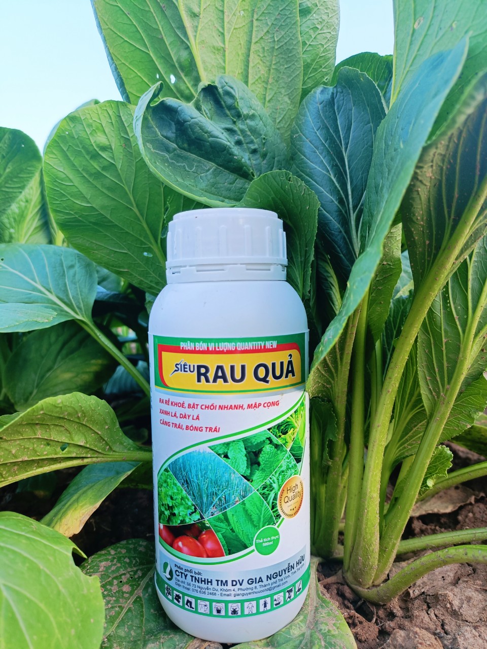 SIÊU RAU QUẢ CHAI 500ML - Kích thích rễ ra khỏe, nở bụi nhanh - Giúp cây to bẹ, trái to, bóng đẹp