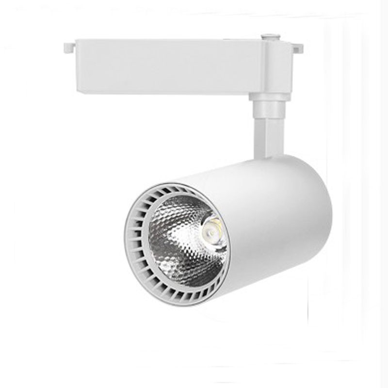 Đèn chiếu điểm pha ray 24SLTCE-30W