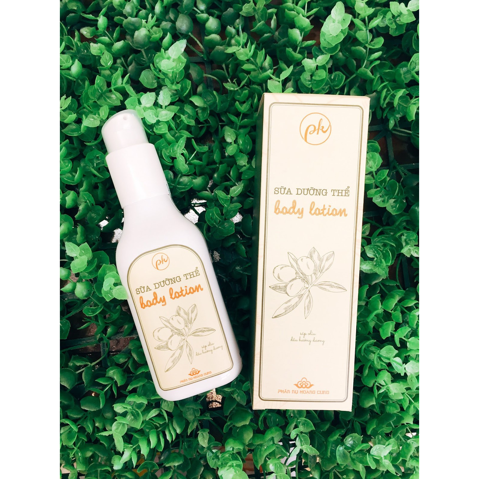 Sữa Dưỡng Thể Giúp Phục Hồi Da, Dưỡng Trắng Body Lotion | Phấn Nụ Hoàng Cung