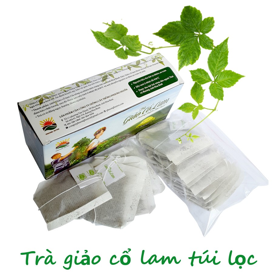 Hộp Trà giảo cổ lam túi lọc Phương Huyền 30g
