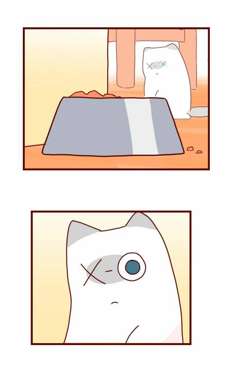 saphie: chú mèo một mắt chapter 8 11