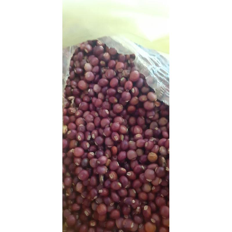 500 gram hạt đậu săng (đậu chiều)