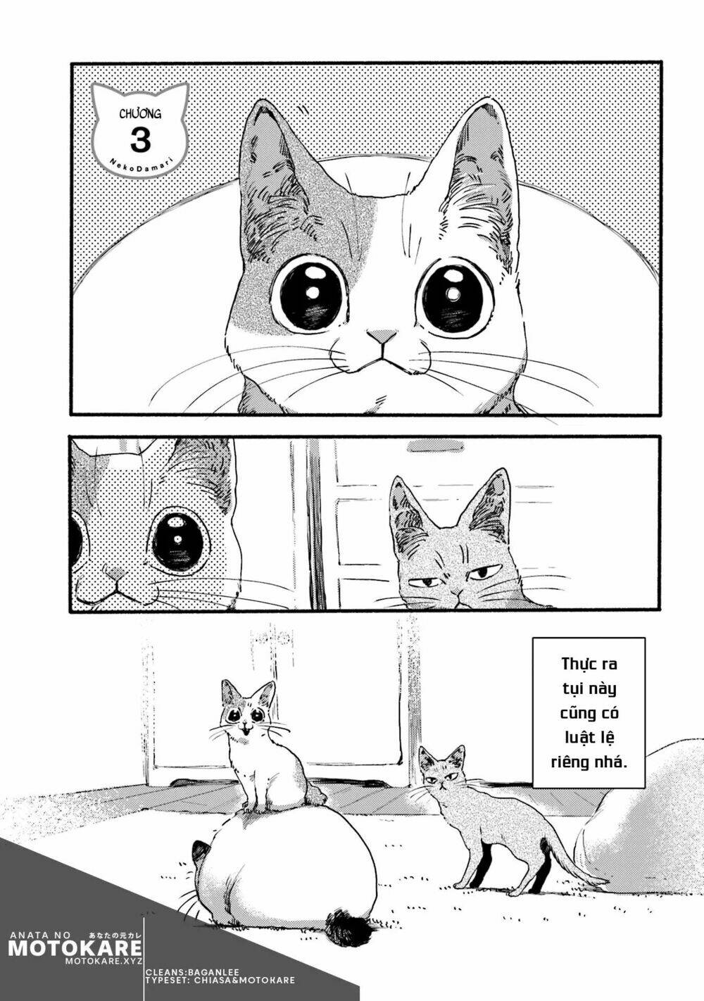nekodamari chapter 3 1