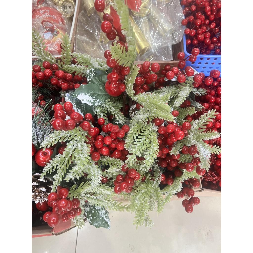 Cành thông đào đông táo đỏ dài 25cm -35cm trang trí cây thông, làm vòng nguyệt quế, cắm lọ hoa