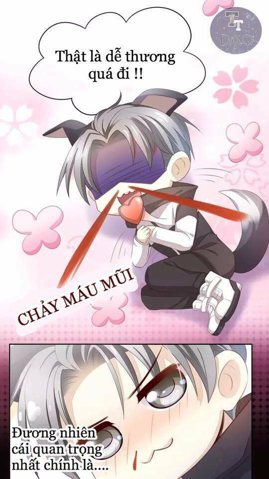 dưới móng vuốt mèo chapter 17 68