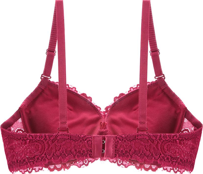 Áo Lót Ren Nữ 12H C322 Mút Dày