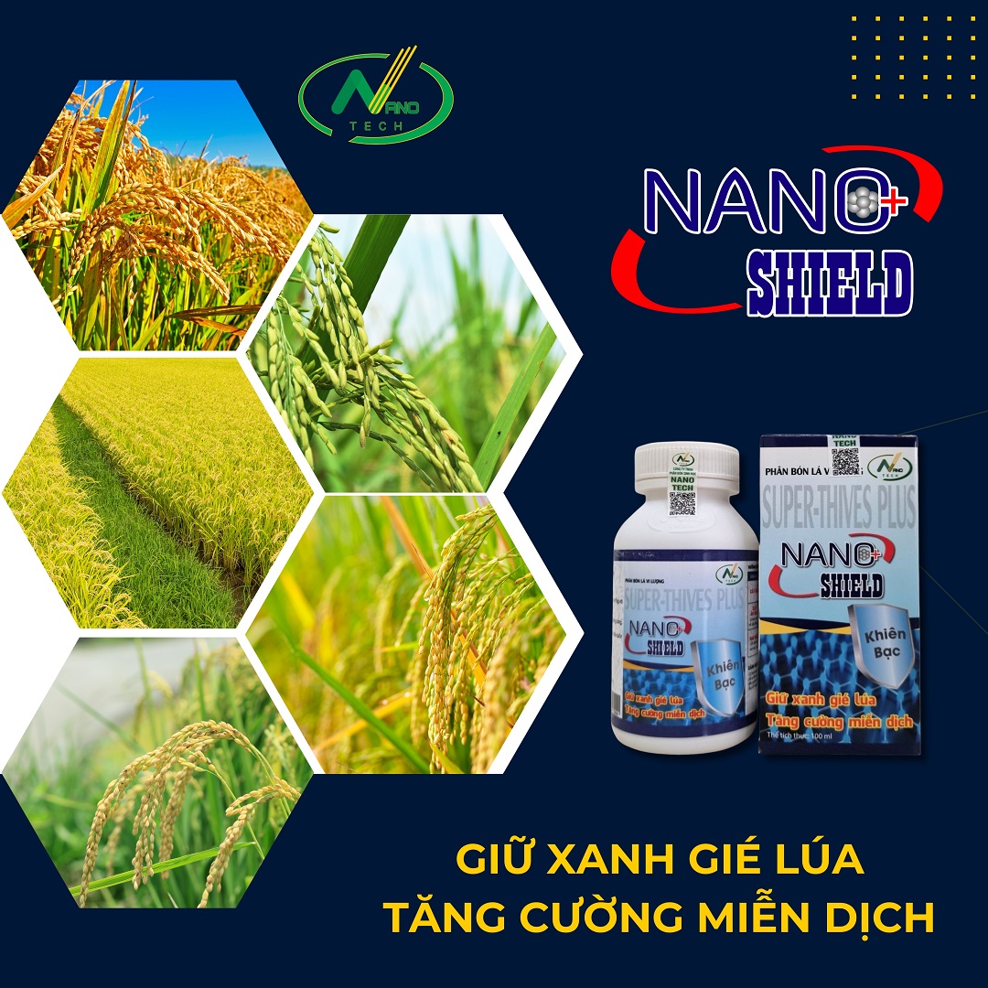 Bộ sản phẩm giúp LÚA ĐÓN ĐÒNG hiệu quả, tiết kiệm chi phí