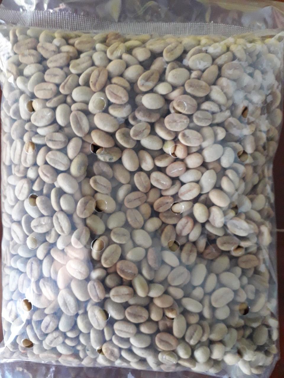 1 KG HẠT GIỐNG CÀ PHÊ VỐI CAO SẢN TR4 .