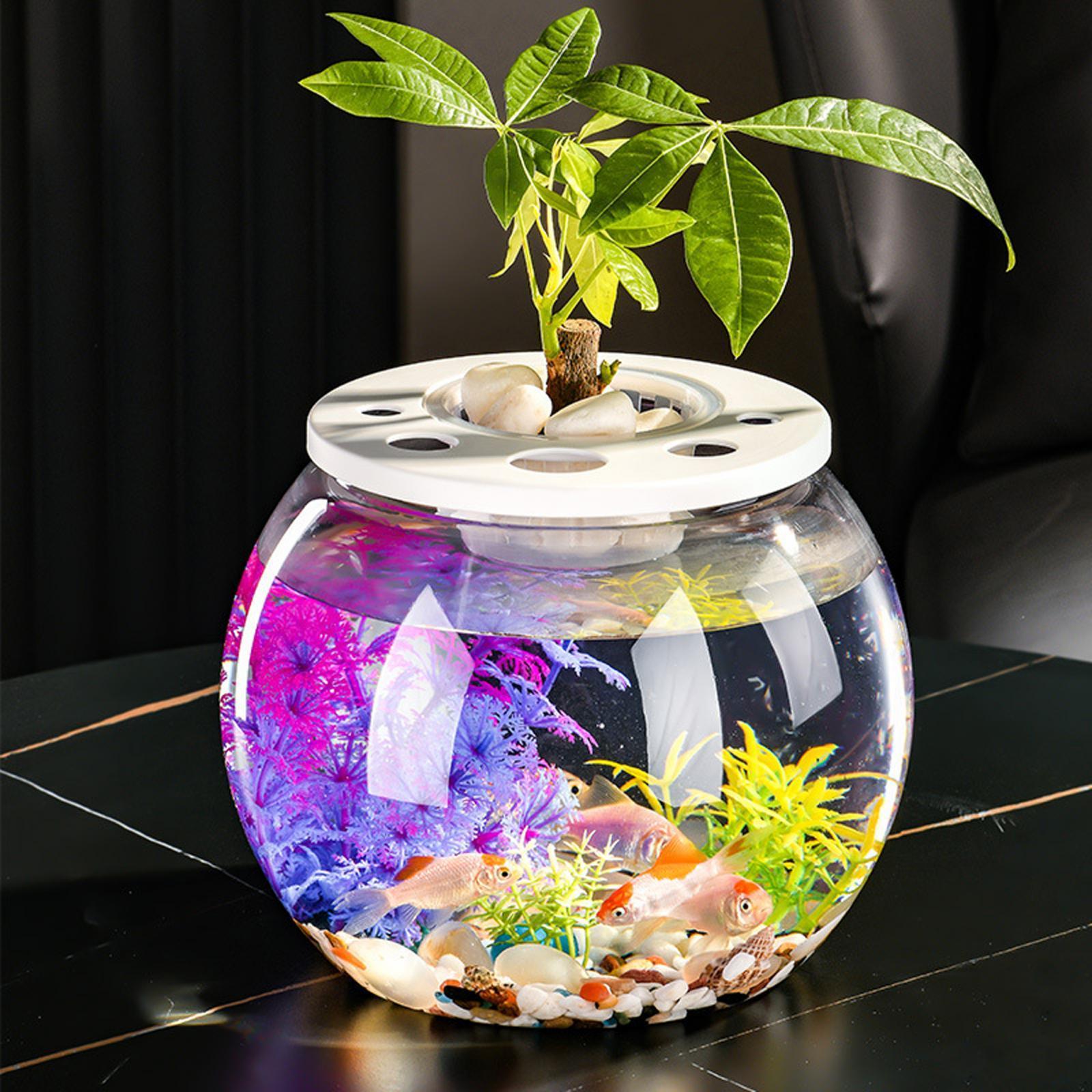 Fish Bowl Decorative Table Centerpiece Fish Tank for Hotel Dorm Living Room