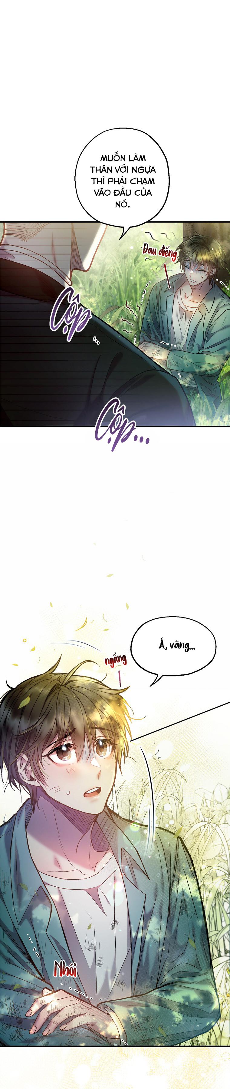 cơn mưa mật ngọt chapter 4 27