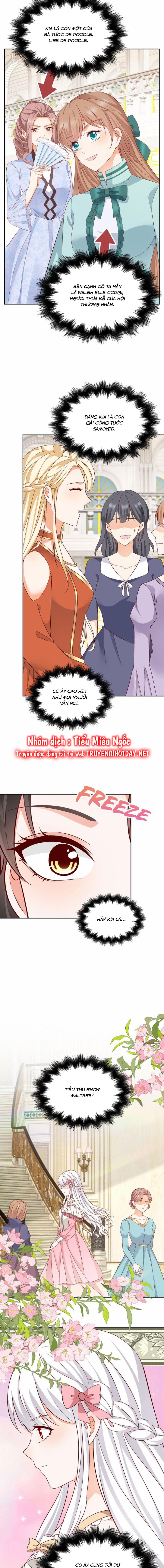 đi tìm papa cho đứa trẻ chapter 20 11