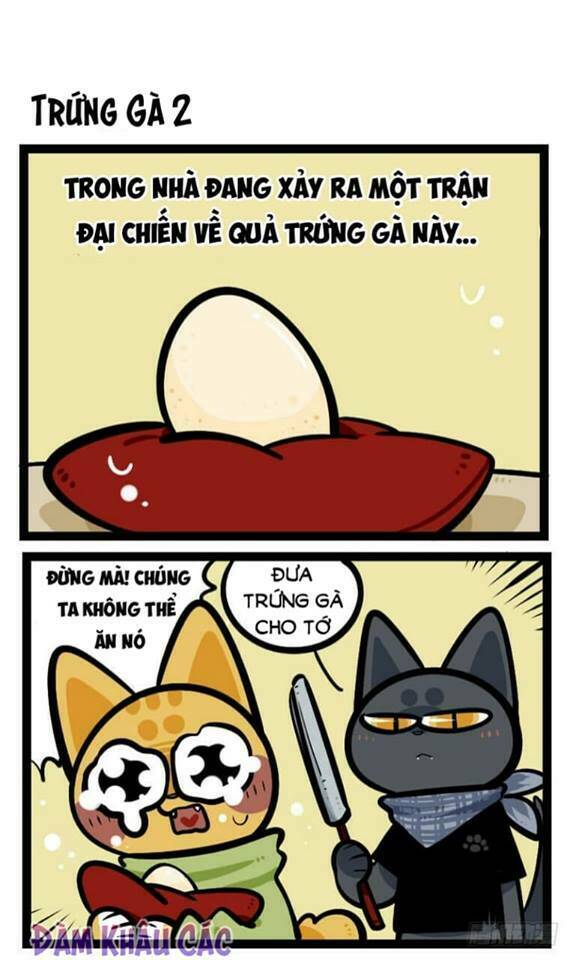 đời không như mình tưởng chapter 40 2