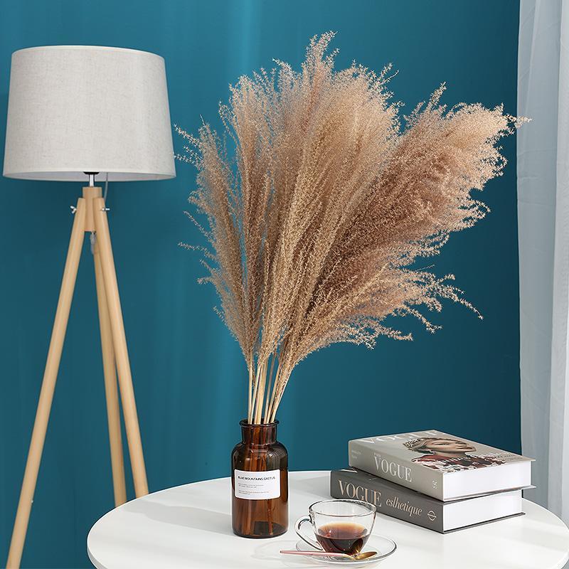 30 Chiếc Pampas Cỏ Hoa Khô Tự Nhiên Dekoration Sậy Phragmites Chùm Communis Trang Trí Mộc Tặc Đánh Lagurus Ovatus