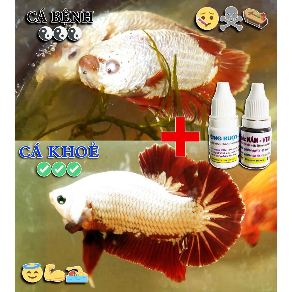 500G Sứ Viên - Vật Liệu Lọc Xử Lý Nước