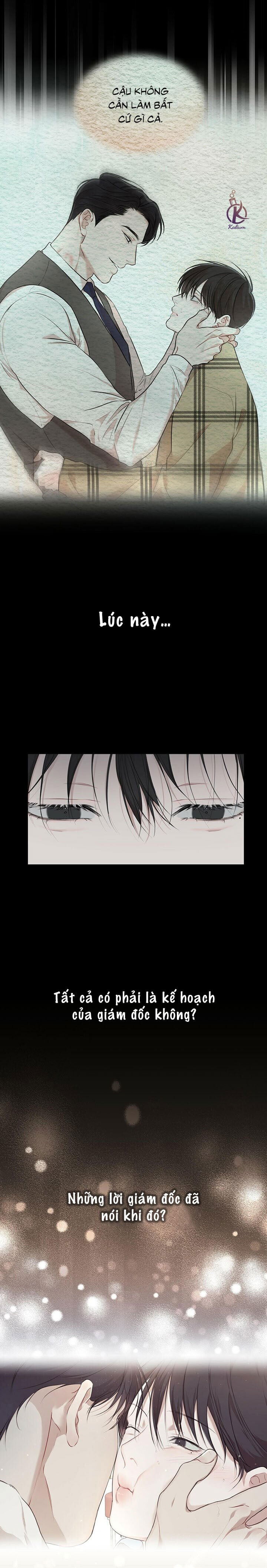 hình thái khởi sinh chapter 49 6